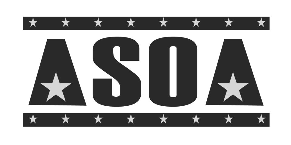 美國各州政府辦事處協會 logo